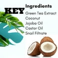 thumbnail image 7 of Hebepe Green Tea Face Mist with Coconut Water 4 oz, Matcha Facial Toner Spray Hyaluronic Acid for All Skin, Hydrating Soothing Reduces Redness Cooling After-Sun for Women Men, Alcohol-Free, 7 of 7