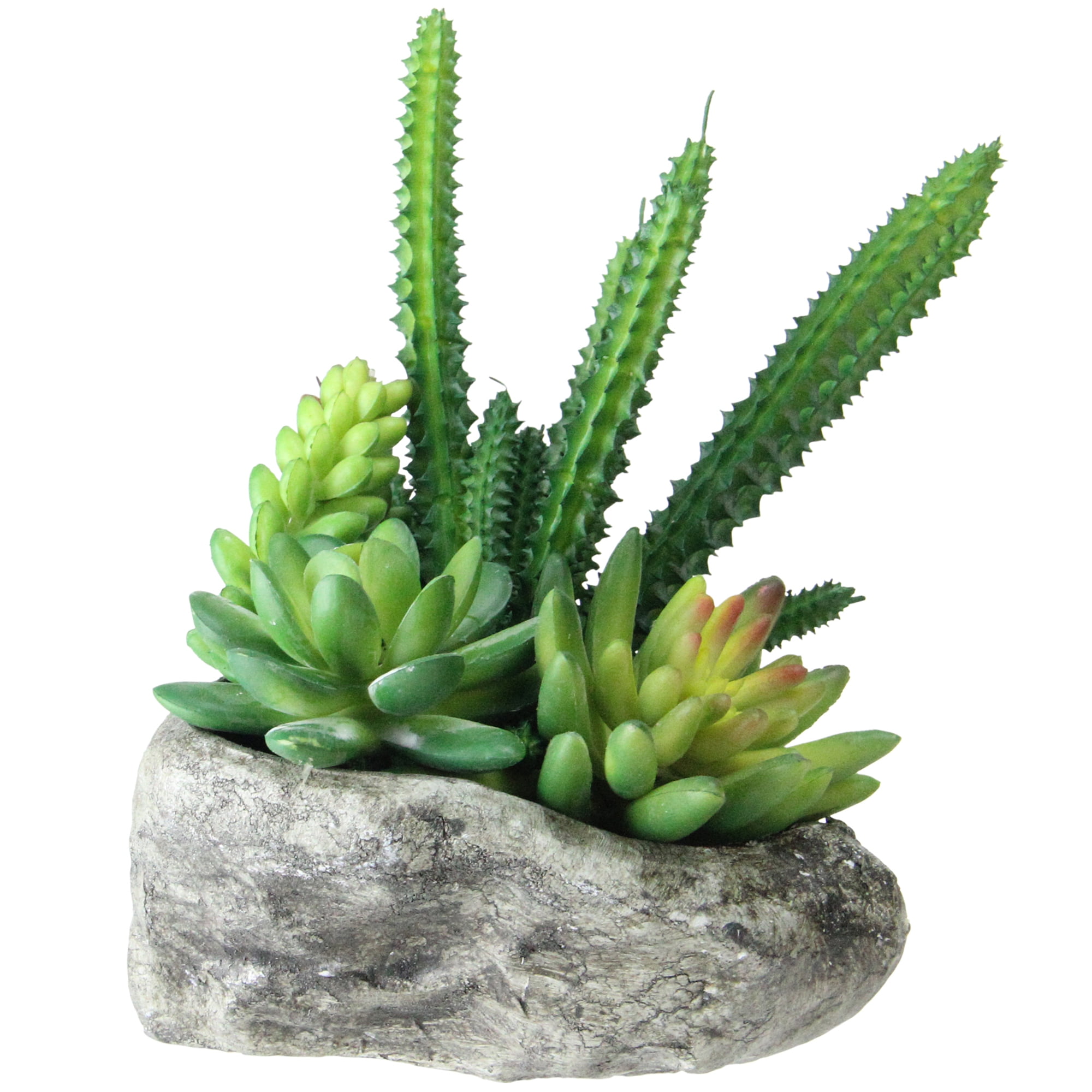 Northlight 6.5" Succulent Plant Artificial Arrangement in Rock