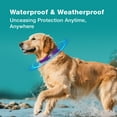 thumbnail image 6 of ZingZap Flea & Tick Collar 2-Pack Purple, Protects from Biting Insects, Adjustable Fits Both Dogs & Cats, Built-in Plant Based Formula, Slow-Release Lasting Protection, Waterproof, 6 of 7