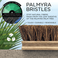 thumbnail image 3 of Lola Products Deck Scrub Brush Broom, 9" x 3.5" Wide, Palmyra Bristles, 1 Count, 3 of 7