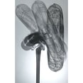 thumbnail image 3 of Lasko Max Performance 30-In. Industrial Grade Oscillating Fan with Wheels, Black, 3 of 3