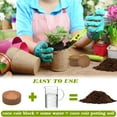 thumbnail image 3 of Coconut Soil,QZS Dueable Compressed Coconut Coir Pellets Potting Soil Pods for Seedling,1.2x0.4In Seed Starters Coir Fiber for Vegetables,20Pack, 3 of 6