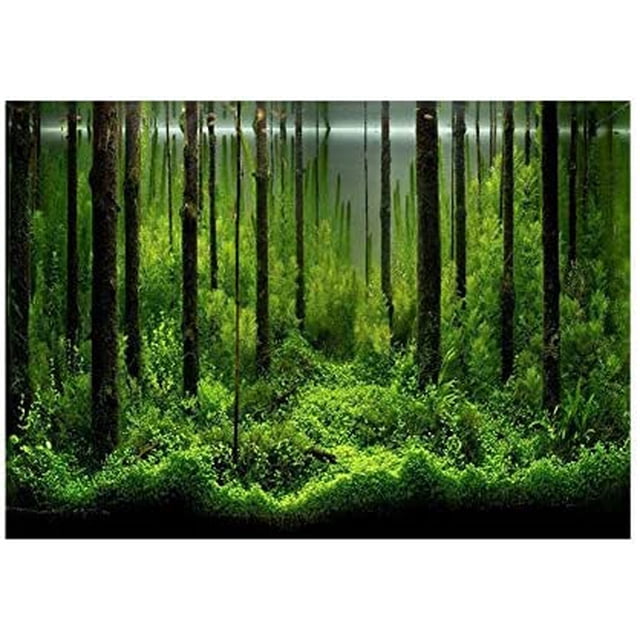 Aquarium Background 10 Gallon Tank Aquarium Poster Aquarium Forest Background Picture Fish Tank Background PVC Adhesive Underwater Forest Tank Poster Backdrop Decoration Paper Wallpaper (6130cm)