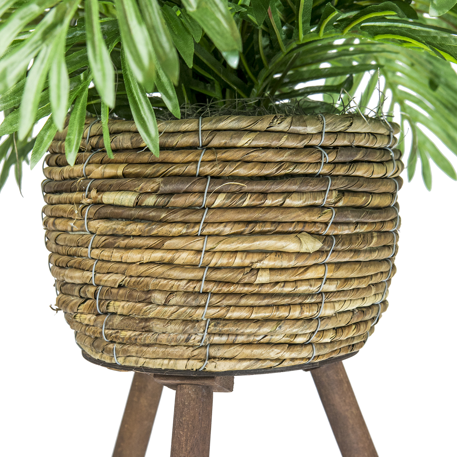 LCG Florals Artificial Plant, Phoenix Palm, 2.5 ft, Basket Stand, Weighs approx. 6 lbs.