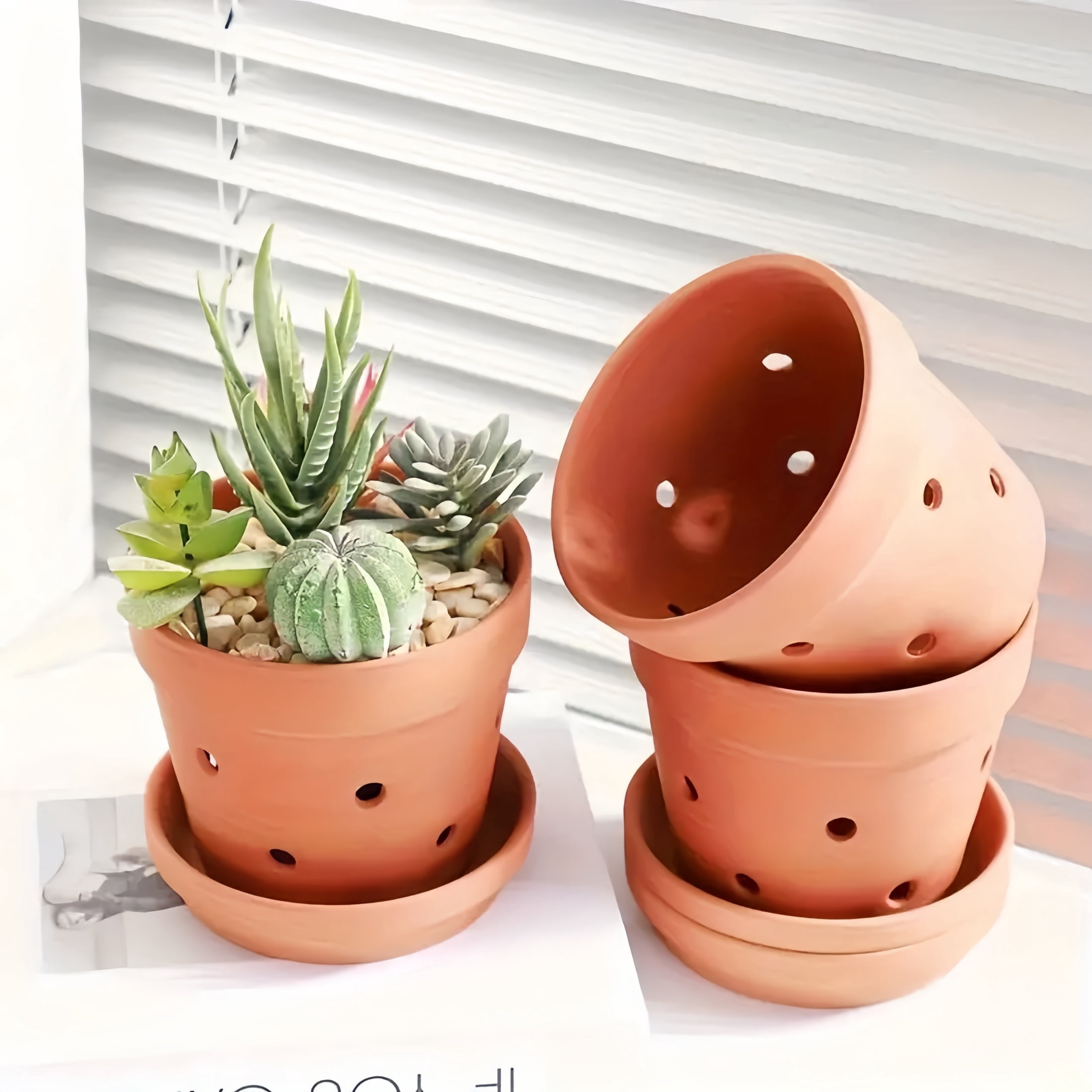 6-Piece 4" Terracotta Orchid Pots With Drainage Holes & Saucers - Classic Clay Planters For Enhanced Air Flow, Perfect For Indoor & Outdoor Orchids