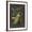 Brown Frame, variant on Art.com Custom Midnight Botanical II (R) Art Print by Vision Studio, White Frame Wall Art, 17" x 21"