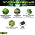 thumbnail image 2 of Exo Terra Dripper Plant (Large), 2 of 6