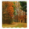thumbnail image 3 of Ambesonne Fall Shower Curtain, Cloudy Day in September, 69"Wx84"L, Orange Green Brown, 3 of 3