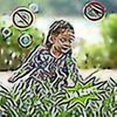 thumbnail image 3 of Plant Oil Mosquito Repellent Sticker Anti-mosquito Sticker Mosquito Sticker Patch 180 Pieces, 3 of 4