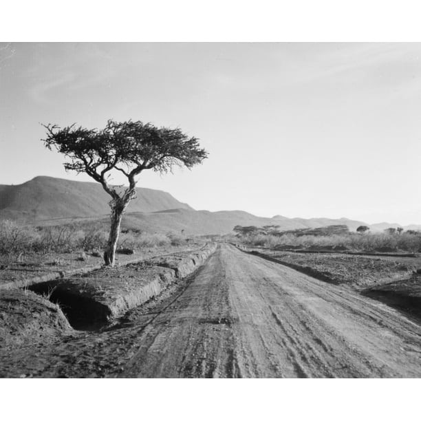 Print Kenya N. Of Nairobi. Rift Valley. In The RiftValley, 1936