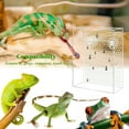 thumbnail image 3 of XZKING Bearded Dragon Feeder, Chameleon Bug Bowl, Transparentk Acrylic Reptile Feeder Box, Wall-Mounted Insect Feeder with Suction Cups for Lizard Bearded Dragon Gecko Frog, 3 of 7