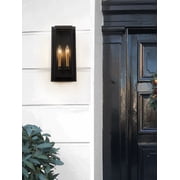 2-Light 17.5 Black Modern outdoor wall sconce