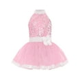thumbnail image 3 of Haitryli Big Girls Shiny Sequin Ballet Leotard Tutu Dress Layered Tulle Skirt Gymnastics Dance Ballerina Outfit Pink 16, 3 of 5