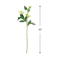 thumbnail image 5 of Allstate Helleborus Artificial Two-Tone Floral Spray - 22" - Cream and Green, 5 of 8