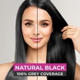 thumbnail image 3 of VCare Shampoo Hair Color Black - 25ml (Pack of 8), 3 of 5