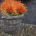 thumbnail image 4 of GRNSHTS 20 Bundles Artificial Flowers for Outdoor Decoration, Spring Decoration UV Resistant Faux Outdoor Plastic Greenery Shrubs Plants Artificial Fake Flowers Hanging Planter Home Garden Decor, 4 of 11