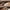 BROWN, variant on Timberland PRO Men's Waterproof Oil, Slip and Abrasion Resistant Alloy Toe Work Boots, Brown, 11 M