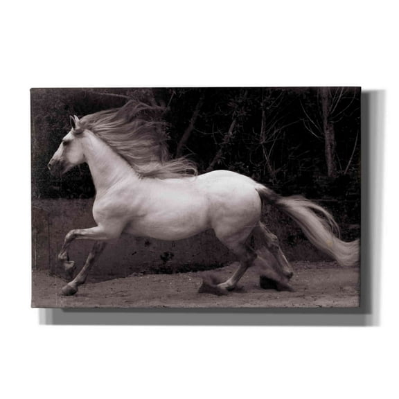 Epic Graffiti 'Forest adventure' by Susan Friedman,, 60"x40"