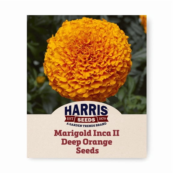 Harris Seeds - Marigold Inca II Deep Orange - F1 Variety - Non-GMO 250 Seeds