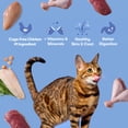 thumbnail image 2 of Jinx Cage-Free Chicken, Turkey, Duck Dry Cat Food, 14 lb, 2 of 10