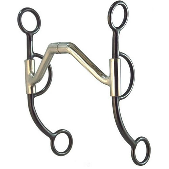 Robart Pinchless bits IW104 5 in. Rafter Western Bit