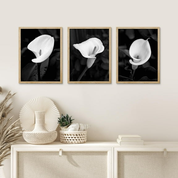 PixonSign Framed Canvas Print Wall Art Set - Black & White Calla Lily Flower Poster Art - Set of 3 Nature Wilderness Floral Plants Photography Wall Décor for Living Room - 12"x16" Natural