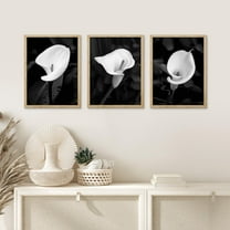 PixonSign Framed Canvas Print Wall Art Set - Black & White Calla Lily Flower Poster Art - Set of 3 Nature Wilderness Floral Plants Photography Wall Décor for Living Room - 12"x16" Natural