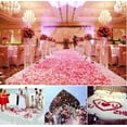 thumbnail image 4 of Rose Petals, Fake Rose Petal White & Red for Valentines Decorations Suitable Weddings Valentine's Day Anniversaries Birthdays Parties Romantic Table Decor Special Night 2000 PCS, 4 of 5