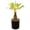 A, variant on LED Palm Tree Lamp 17.72 Inch, USB Powered Warm Light Artificial Tropical Decor, Desk Night Light for Coffee Shop Restaurant Home, Home Decorative Objects