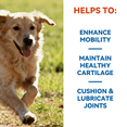 thumbnail image 5 of Hip & Joint Chews for Dogs, Glucosamine & Chondroitin Supplements, Supports Mobility and Joint Comfort, Chicken Flavor, 132 Count, 5 of 7