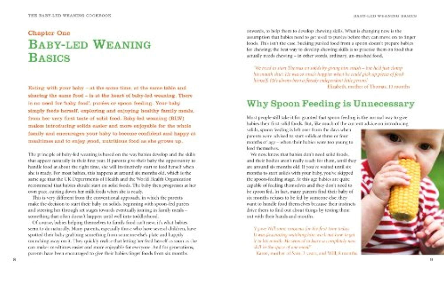 the baby led weaning cookbook