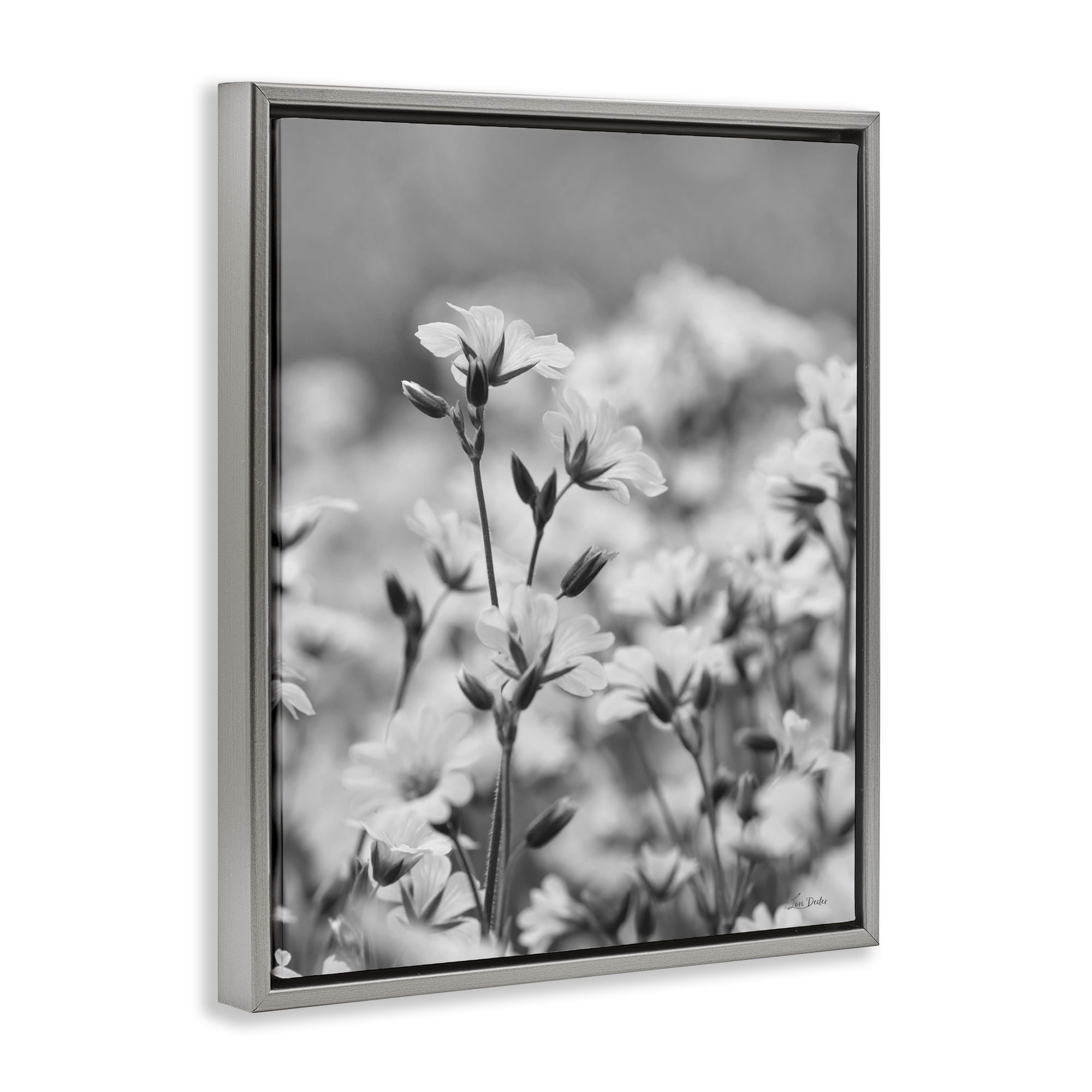 Stupell Industries Budding Meadow Flora Botanical & Floral Photography Gray Floater Framed Art Print Wall Art, 17 x 21