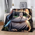 thumbnail image 1 of Couverture Ragdoll Chat Persan Calico Chat Garfield Couverture Douce pour Maison Chambre Lit Canapé Couverture Enfants, 1 of 7