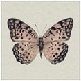 thumbnail image 1 of MARMONT HILL  - Handmade Pink and Black Butterfly II Floater Framed Print on Canvas 20 x 20, 1 of 5