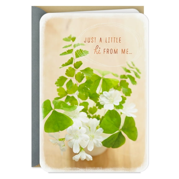 Hallmark Just Because Thinking of You Card (Just a Little Hi)