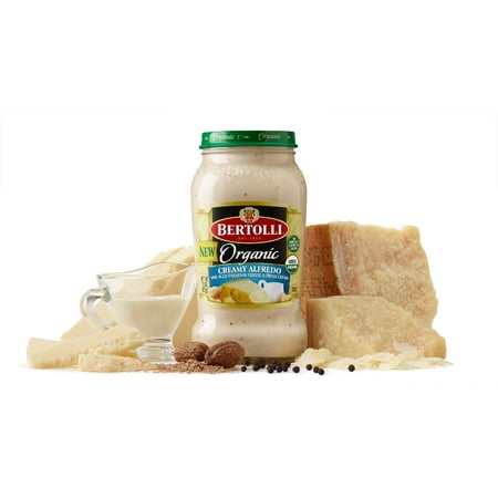Bertolli Organic Creamy Alfredo with Aged Parmesan Cheese Pasta Sauce 15 (Best Cheese For Pasta Sauce)