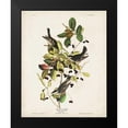 thumbnail image 2 of Audubon, John James 15x18 Black Modern Framed Museum Art Print Titled - Pl 133 Black Poll Warbler, 2 of 5