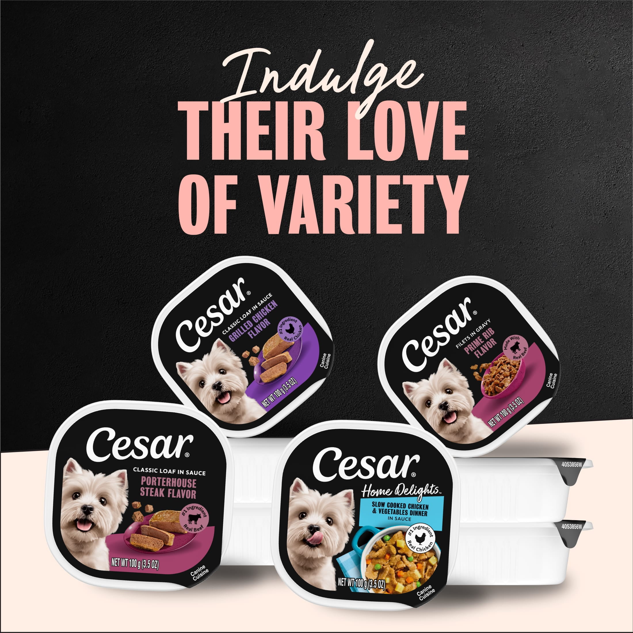 Cesar Filets in Gravy Beef Flavor Variety Pack Wet Dog Food Adult, 3.5 oz Easy Peel Trays, 12 Pack