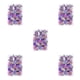 thumbnail image 2 of Flores secas naturales Inteprter decoración Floral prensada DIY plantas secas preservadas, 2 of 6