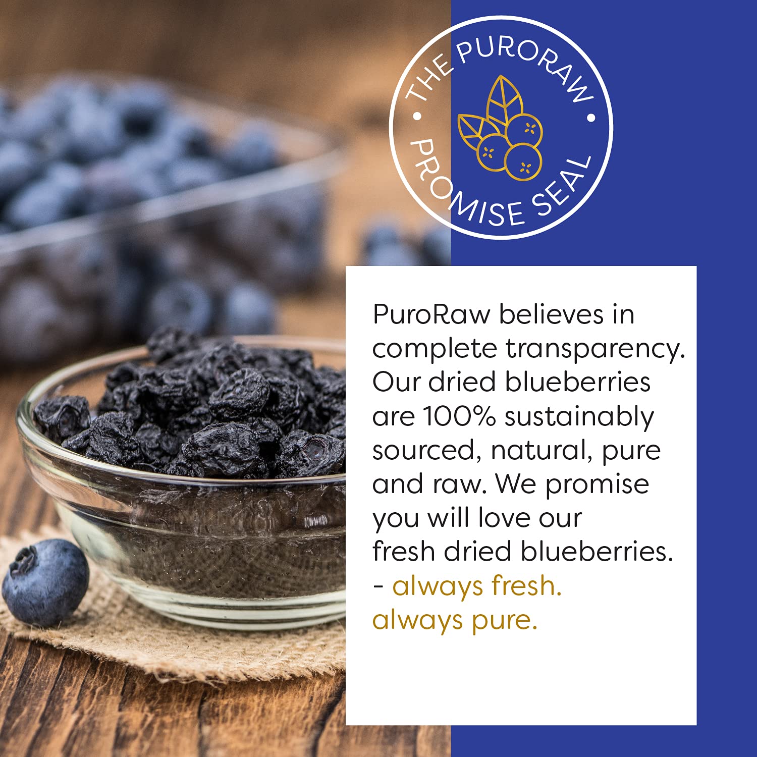 PuroRaw Dried Blueberries No Sugar Added, 2 lbs | Whole Dehydrated Blueberries, All Natural, Non-GMO, Bulk Fruit Snack & Baking Ingredient
