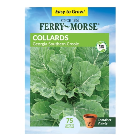 Ferry-Morse 1.5G Collards Georgia Southern Creole Annual Vegetable Seeds, Full Sun
