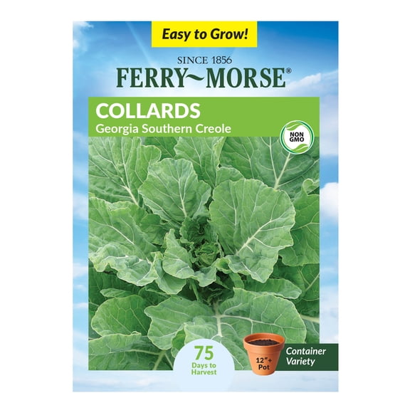 Ferry-Morse 1.5G Collards Georgia Southern Creole Annual Vegetable Seeds, Full Sun