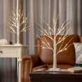 thumbnail image 2 of Árbol de abedul iluminado EAMBRITE para decoración navideña, 2 pies, 24 LED, 2 of 8