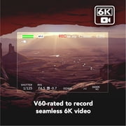 Lexar Professional ARMOR GOLD 512GB UHS-II V60 SDXC Memory Card