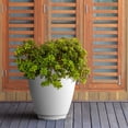 thumbnail image 3 of Mayne Caprio 16" x 16" x 18" Round White Tall Self-Watering Polyethylene Planter, 3 of 6