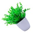 thumbnail image 4 of Bonsai artificial de plástico para interiores, maceta falsa para decoración del hogar, planta en maceta de simulación, pequeña sidaley HA8800-02B, 4 of 6