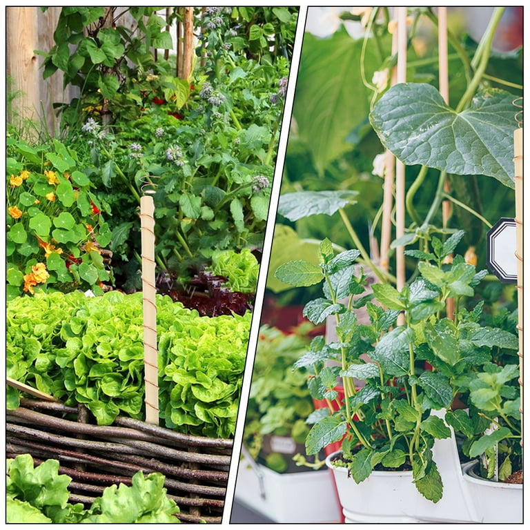 Plant Electro Culture Antenna Electroculture Copper Gardening Wire for  Solid Stake - Walmart.com