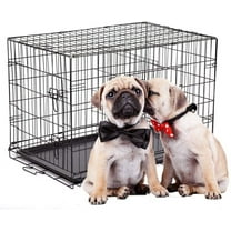 BestPet  30" Large Folding Wire Pet Cage for Dog Cat House Metal Dog Crate