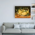 thumbnail image 2 of Garzoni 'Still Life with Bowl of Citrons' Canvas Art, 2 of 3