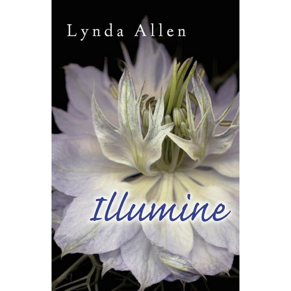 Illumine (Paperback) by Lynda Allen
